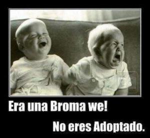 adoptado